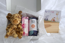 Load image into Gallery viewer, Newborn Bliss Box