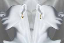 Load image into Gallery viewer, Rodeo Earrings